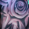 rose print polyester pongee rain umbrella fabric