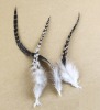 roster feathers, Pheasant Feather, grizzly rooster feathers, hair feathers wholesale