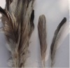 roster feathers, Pheasant Feather, grizzly rooster feathers, hair feathers wholesale