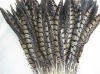 roster feathers,Pheasant Feather, grizzly rooster feathers, hair feathers wholesale