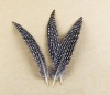 roster feathers, feather extensions, grizzly rooster feathers, hair feathers wholesale