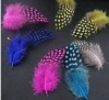 roster feathers, feather extensions, grizzly rooster feathers, hair feathers wholesale