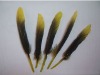 roster feathers, grizzly rooster feathers, hair feathers wholesale