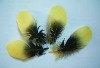 roster feathers, grizzly rooster feathers, hair feathers wholesale