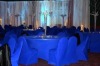 royal blue color stretch chair cover,CT330,fit for all the chairs