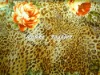 sell 2012 spring new pattern 100% silk fabric