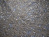 sequin embroidered tulle fabric
