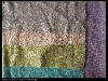 sequins embroidery