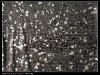 sequins embroidery with coating