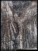 sequins embroidery with gradual change color
