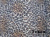 sexy polyester spandex printed fabric