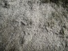 shaggy polyester rug carpet