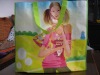 shopping and promotion bags