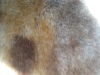 short fur for foot and boot