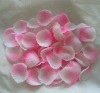 silk petals