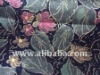 silk velvet fabric