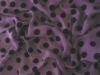 silk/viscose fabric
