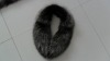 silver fox fur collar