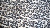 slender velboa blanket upholstery polyester fabric