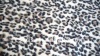 slender velboa blanket upholstery polyester fabric