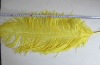 small Ostrich feathers, wedding feather, feather extension, decroation feathers