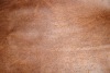 sofa fabric 2542#/ bronzed suede bonded knitted fabric/suede fabric