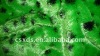 soft and comfortable%polyester knitting and tricot velboa blanketfabric