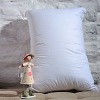 soft pillow core