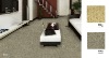 solid color cut pile carpet