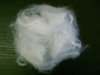 solid polyester fiber