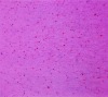 spandex cotton spot fabric