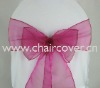 sparkle organza sashes