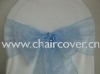 sparkle organza sashes