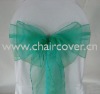 sparkle organza sashes