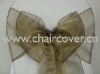 sparkle organza sashes