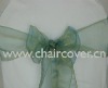 sparkle organza sashes