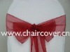 sparkle organza sashes