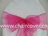 sparkle organza sashes