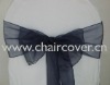 sparkle organza sashes