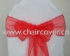 sparkle organza sashes