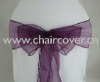 sparkle organza sashes