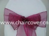 sparkle organza sashes