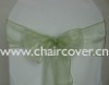 sparkle organza sashes