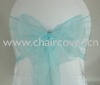 sparkle organza sashes