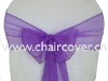 sparkle organza sashes