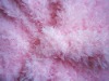 spray rose pv plush fabric/polyester toy fabric