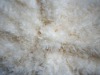spray rose pv plush fabric/polyester toy fabric