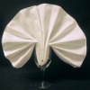 spun polyester napkins