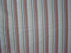 striped cotton knitted fabric