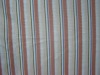 striped cotton knitted fabric